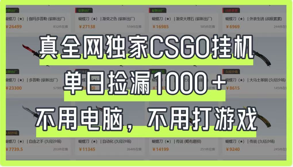 真全网独家CSGO挂机，单日捡漏1000+，不用电脑，不用养号-淘米帮