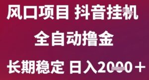 风口项目,六月最新玩法抖音无人挂G,全自动撸金,长期稳定 日入2k+【揭秘】-淘米帮