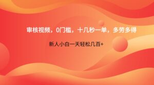 审核视频,0门槛,十几秒一单,多劳多得,新人小白一天轻松几百+-淘米帮