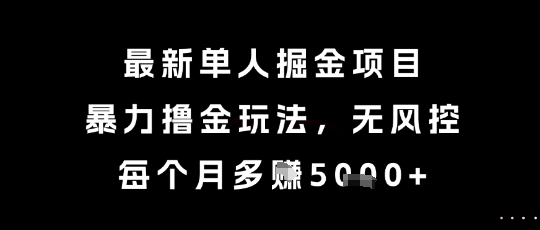 最新单人掘金项目，暴力撸金玩法，无风控，每个月多挣5k+【揭秘】-淘米帮