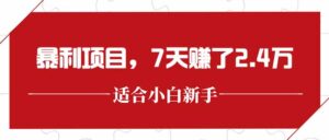 最新暴利项目，每单收益轻松在300以上，7天赚了2.4万-淘米帮