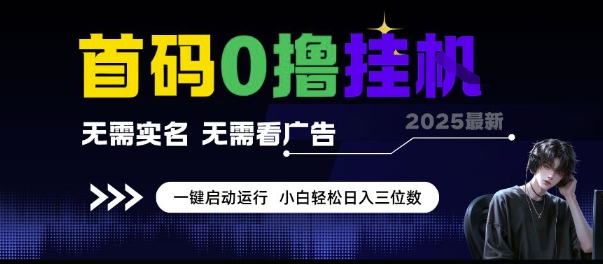 首码0撸挂G项目，无需实名无需看广告 一键启动运行，小白轻松日入三位数【揭秘】-淘米帮