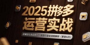 2025拼多多运营实战:店铺定位选品技巧,爆款打造全流程解析(更新6月-淘米帮
