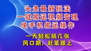 今日头条最新玩法，一键搬运视频也能轻松变现，随随便便就爆百万流量，…-淘米帮