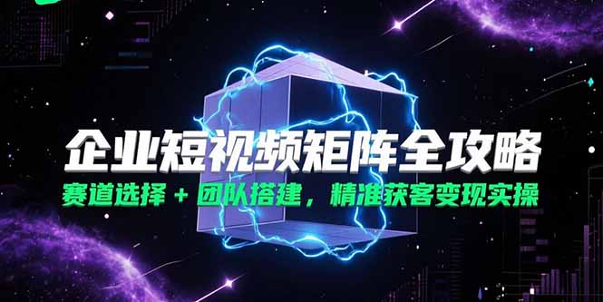 企业短视频矩阵全攻略，赛道选择+团队搭建，精准获客变现实操-淘米帮