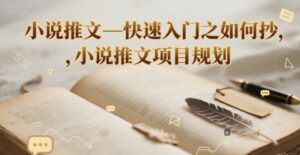 小说推文—快速入门之如何抄 ,小说推文项目规划-淘米帮