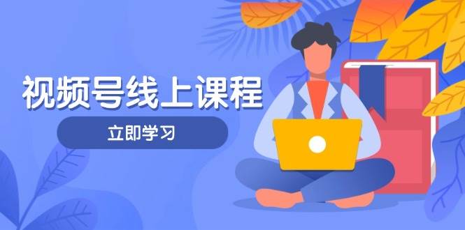 视频号实战课程，轻IP打造与运营技巧，掌握核心方法与策略-淘米帮