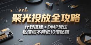 2025小红书聚光投放全攻略,计划搭建+DMP玩法,私信成本降低10倍秘籍-淘米帮