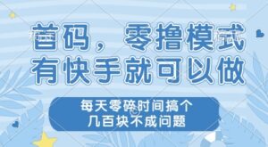 首码零撸项目,有快手就可以做,每天业务时间搞个几张不是问题【揭秘】-淘米帮