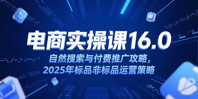 淘宝电商运营课16.0，自然搜索与付费推广攻略，2025年标品非标品运营策略-淘米帮