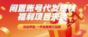 福利项目来袭，闲置账号代发挣钱，动动手指，一天也能搞三位数【揭秘】-淘米帮