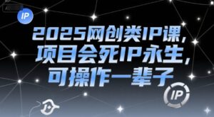 2025网创类IP课，项目会死IP永生，可操作一辈子-淘米帮