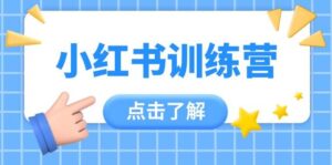 小红书训练营,助小白入门,掌握技巧变达人,课程实操又全面(12节课)-淘米帮