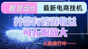 智慧云π电脑挂机单机每天收益300—500+ 并带有团队管道收益 可无限放大-淘米帮