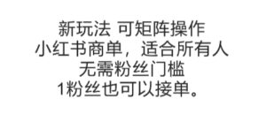 可矩阵操作,小红书商单新玩法,适合所有人,无需粉丝门槛,1粉丝也可以接单-淘米帮