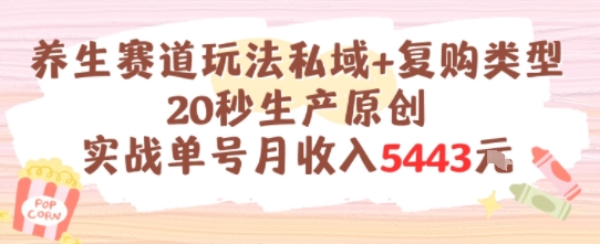 养生赛道玩法私域+复购类型，20秒生产原创实战单号月收入5k+-淘米帮