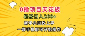 0撸项目天花板，日入200+，新手小白秒上手，一部手机即可操作-淘米帮