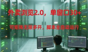 外卖浏览2.0,单窗口30+可矩阵无限多开,脚本全自动运行【揭秘】-淘米帮
