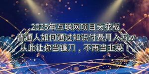 2025年互联网项目天花板，普通人如何通过卖项目实现逆风翻盘，月入5W＋！-淘米帮