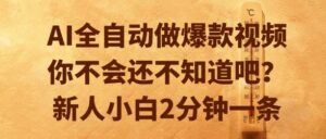 AI全自动做爆款视频，你不会还不知道吧？新人小白2分钟一条【揭秘】-淘米帮