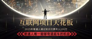 2025“互联网项目天花板”：不做韭菜，做镰刀！“月入 10W+ 普通人弯道…-淘米帮