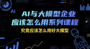 AI与大模型企业应该怎么用系列课程,究竟应该怎么用好大模型-淘米帮