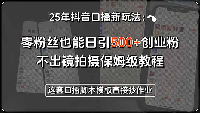 25年抖音口播新玩法：零粉丝也能日引500+创业粉，不出镜拍摄保姆级教程…-淘米帮