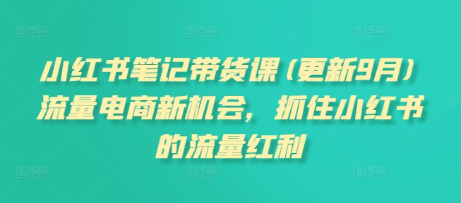 小红书笔记带货课(更新25年6月)流量电商新机会，抓住小红书的流量红利-淘米帮