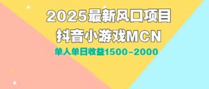 DY小游戏MCN广告2025最新打法单人单日收益1500-2000背靠大平台新手小白…-淘米帮