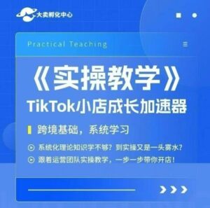 大卖家孵化中心TikTok实操课,TikTok小店成长加速器,跨境基础系统学习,一步一步带你开店-淘米帮