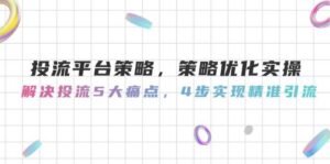 投流平台策略，策略优化实操，解决投流5大痛点，4步实现精准引流-淘米帮
