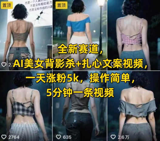全新赛道，AI美女背影杀+扎心文案视频，一天涨粉5k，操作简单，5分钟一条视频-淘米帮