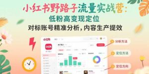 小红书野路子流量实战营：低粉高变现定位 对标账号精准分析 内容生产提效-淘米帮