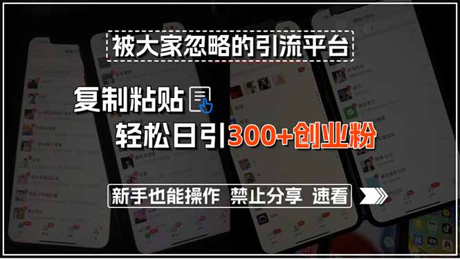 被大家忽略的引流平台，复制粘贴轻松日引300+创业粉，新手也能操作，禁…-淘米帮