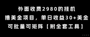 外面收费2980的挂G撸美金项目，单日收益30+美金，可批量可矩阵【揭秘】-淘米帮