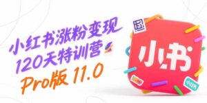 小红书涨粉变现120天特训营Pro版11.0:从0到1掌握平台运营,内容制作和变现-淘米帮
