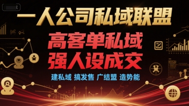 一人公司私域联盟，高客单私域，强人设成交，建私域 搞发售 广结盟 造势能-淘米帮
