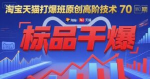 淘宝天猫打爆班原创高阶技术第70期:标品干爆-淘米帮