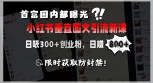 首富圈内部曝光小红书垂直图文引流新课,日吸300+创业粉,日入8张+,限时获取防封禁-淘米帮
