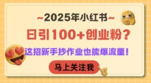 2025年小红书日引100+创业粉?这招新手抄作业也能爆流量!-淘米帮