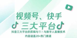 视频号、快手、抖音三大平台的剪辑与数字人直播技术,内容涵盖20+热门赛道-淘米帮