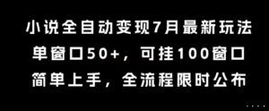 小说全自动变现7月玩法，单窗口50+，可挂100窗口，简单上手，全流程限时公布【揭秘】-淘米帮