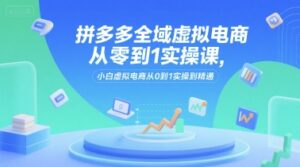 拼多多全域虚拟电商从零到1实操课，小白虚拟电商从0到1实操到精通-淘米帮