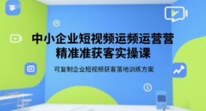 中小企业短视频运营精准获客实操课，可复制企业短视频获客落地训练方案-淘米帮