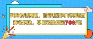 减肥食谱赛道，自带热度可长期运营，养老玩法，单日轻松搞定769-淘米帮