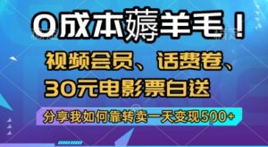 0成本薅羊毛!视频会员、话费卷、30元电影票白送，分享我如何靠转卖一天变现5张+【揭秘】-淘米帮