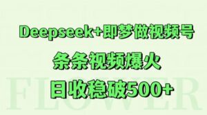 Deepseek+即梦做视频号,条条视频爆火,日收稳破500+-淘米帮