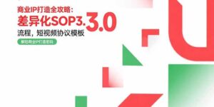 商业IP打造全攻略:差异化SOP3.0流程,短视频协议模板,婚恋项目实战案例-淘米帮