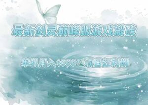 最新剑灵巅峰服游戏搬砖,项目红利期,单机稳定4000+操作简单好上手-淘米帮