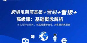 跨境电商基础+晋级+高级课:基础概念解析,Tk私域涨粉技巧,AI客服系统搭建-淘米帮